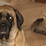 Maddison and Jasper Maddison and Jasper